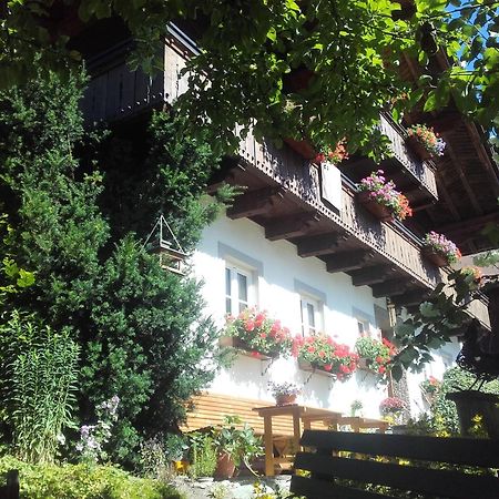 Neudegghof Apartment Eben Im Pongau Exterior photo